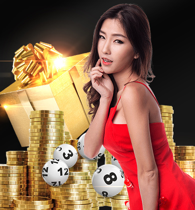 lotto vip